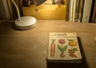 Książki do dyspozycji gości