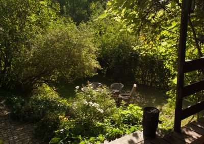 Popołudniowe słońce w ogrodzie