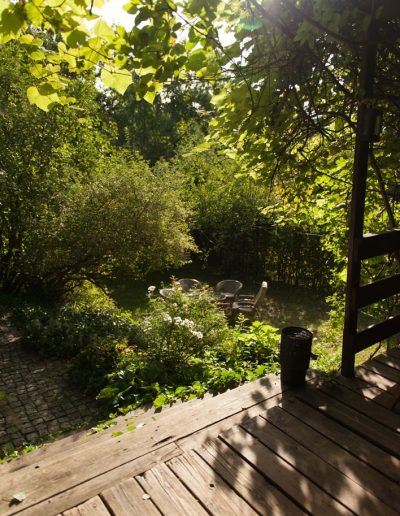 Popołudniowe słońce w ogrodzie