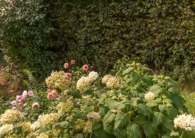 Kwiaty w ogrodzie Birchy Hills