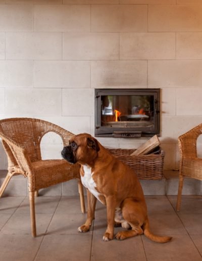 Obiekt przyjazny dla zwierząt